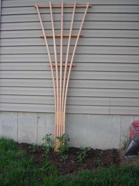 The Handyguys built a simple garden trellis of their own design and 