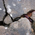 cracked concrete