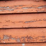 Peeling Paint Peeling Paint