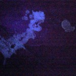 uv_stain