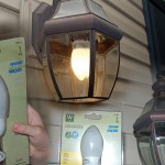 As part of our True Value Blog Squad participation Paul was able to discover these fancy CFLs at our local True Value. They look great don’t you think?
