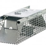 Havahart trap