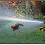 Scarecrow Sprinkler Scarecrow Sprinkler