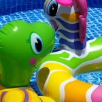 Yes, The Handyguys are planning to get a lot done on their Honey Do Lists but will also take some time for some fun with their families.