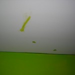 Paint on the Ceiling Paint on the Ceiling