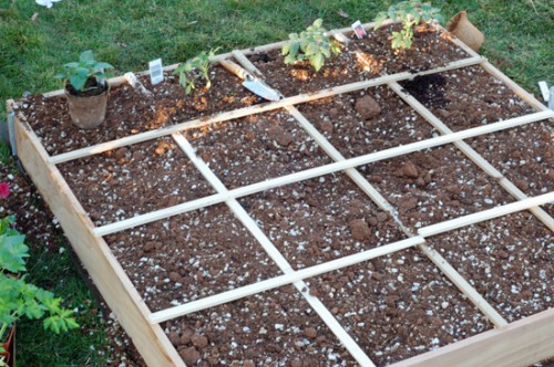 Square foot garden Square foot garden and gas can safety