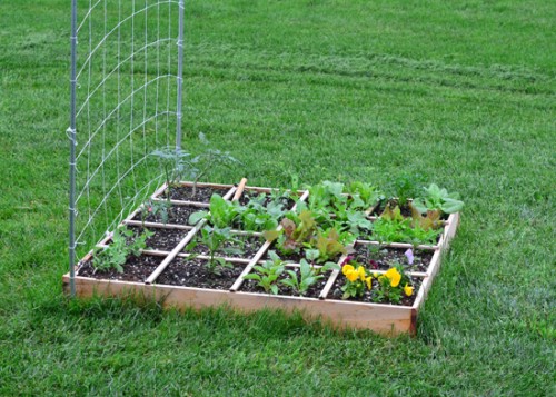 square foot garden ready for first harvest square foot garden gas can safety storage
