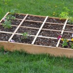 Square Foot Garden