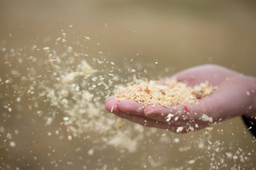 sawdust sawdust in regards to dust collection and safety