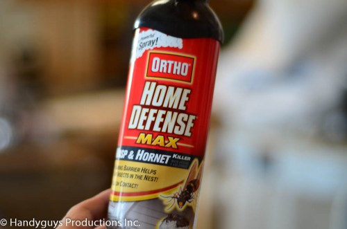 wasps-17 easy ways to get rid of wasps