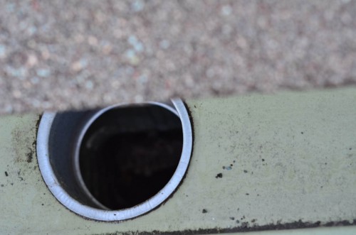 wasps-9-2 wasp infestation and wasp nest removal