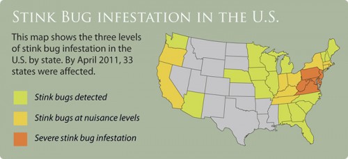 The Spread of Stink Bugs The Spread of Stink Bugs and stink bug control