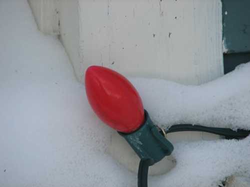 C9 Christmas Lights C9 Christmas Lights