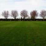 Perfect Lawn