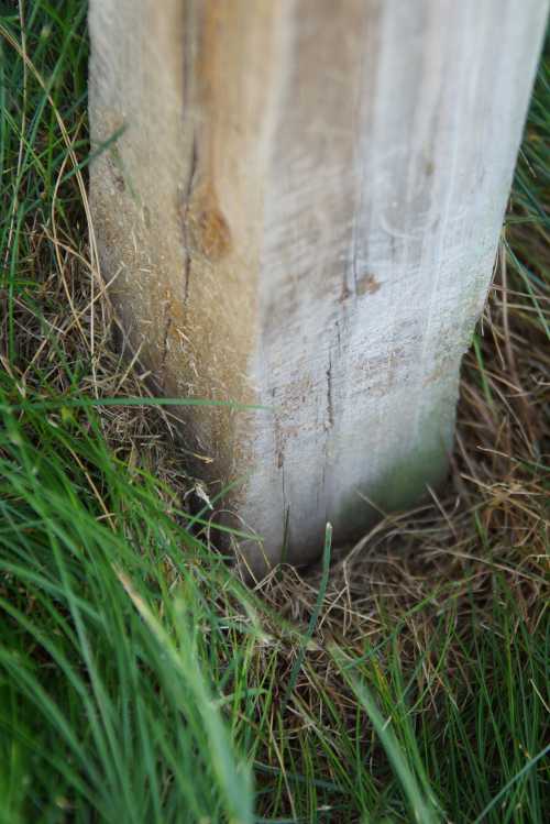 Post in ground may rot Post in ground may rot