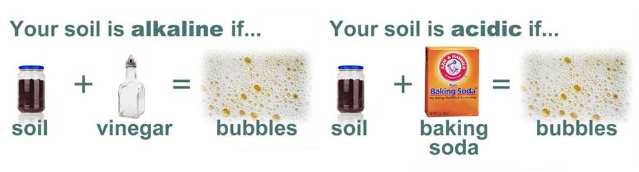 Soil pH Test video