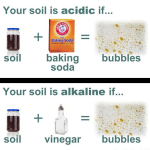 Soil PH Test