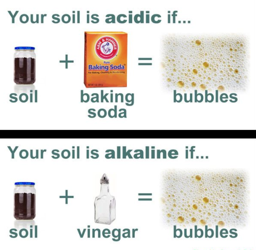 Soil PH Test